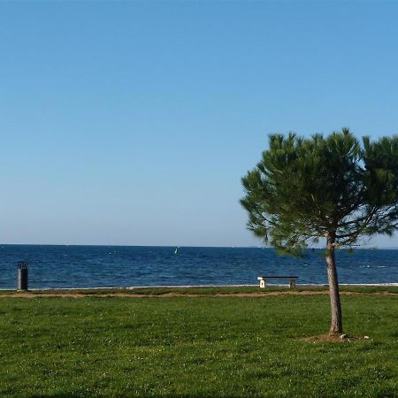Lovely Fazana Apartments 400M From The Sea Eksteriør billede